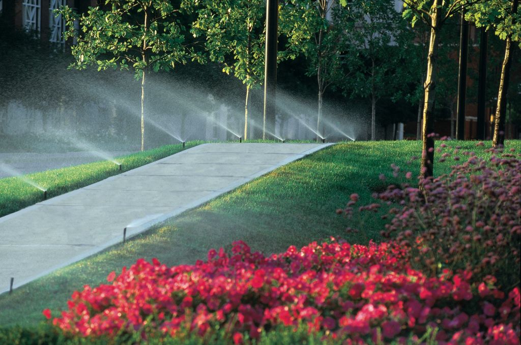 1800sidewalk_sprays.jpeg