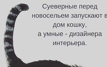 Дизайн-юмор